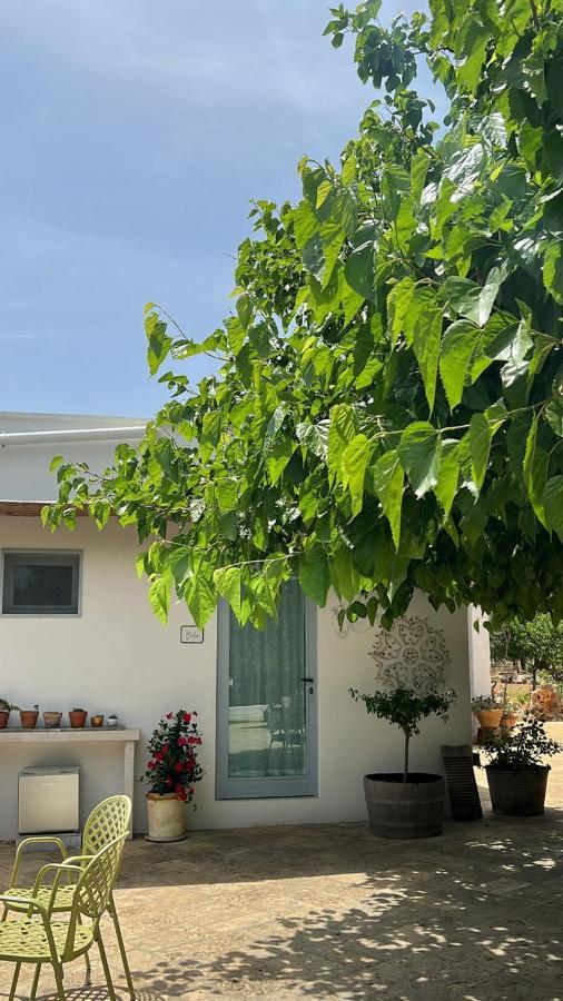 Bed and Breakfast Trullo Santangelo Ceglie Messapica Zewnętrze zdjęcie