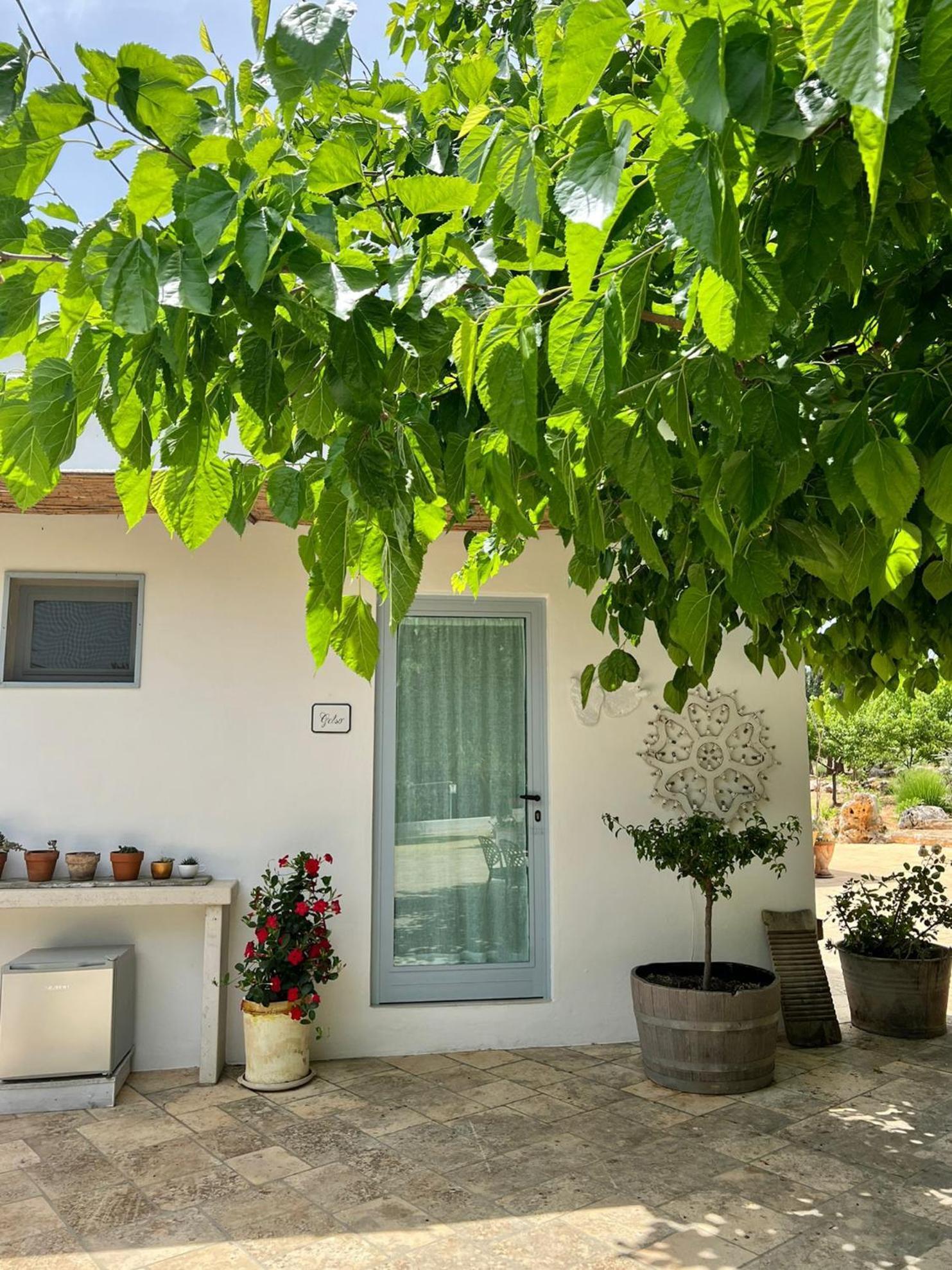 Bed and Breakfast Trullo Santangelo Ceglie Messapica Zewnętrze zdjęcie